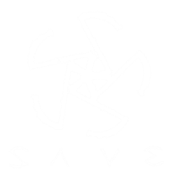 SAVE - demo (2012)