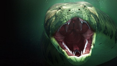 Channel 4 - The World039;s Largest Snake (2012) HDTV XviD-W4F