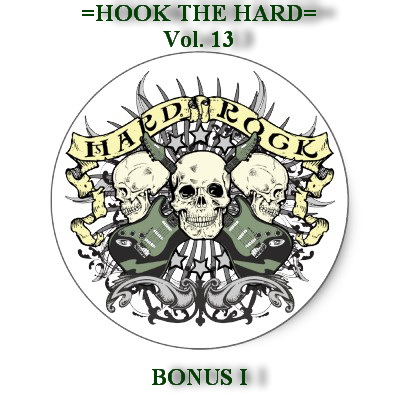 VA - Hook The Hard Vol. 13 (Bonus I) (2012) MP3