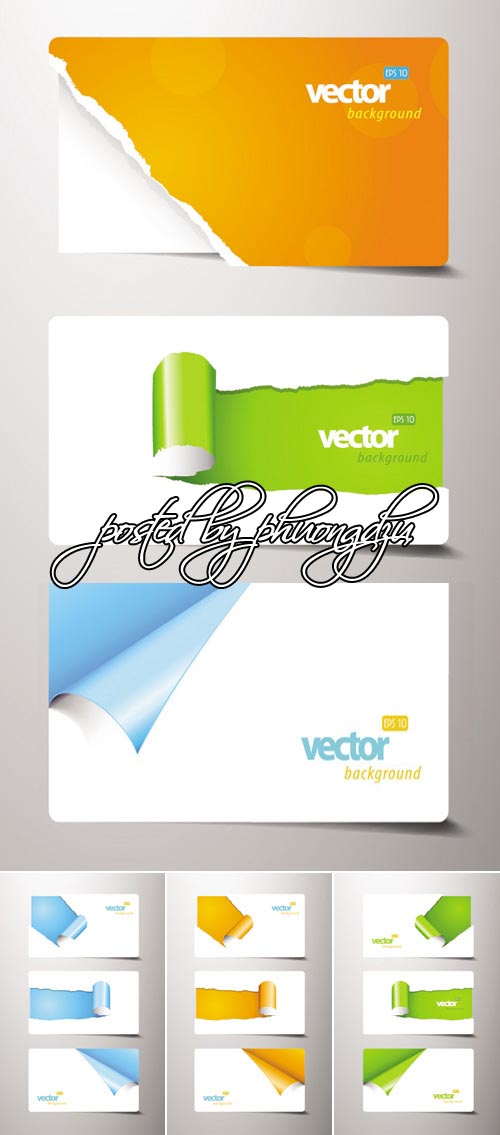Gift Cards Vector 