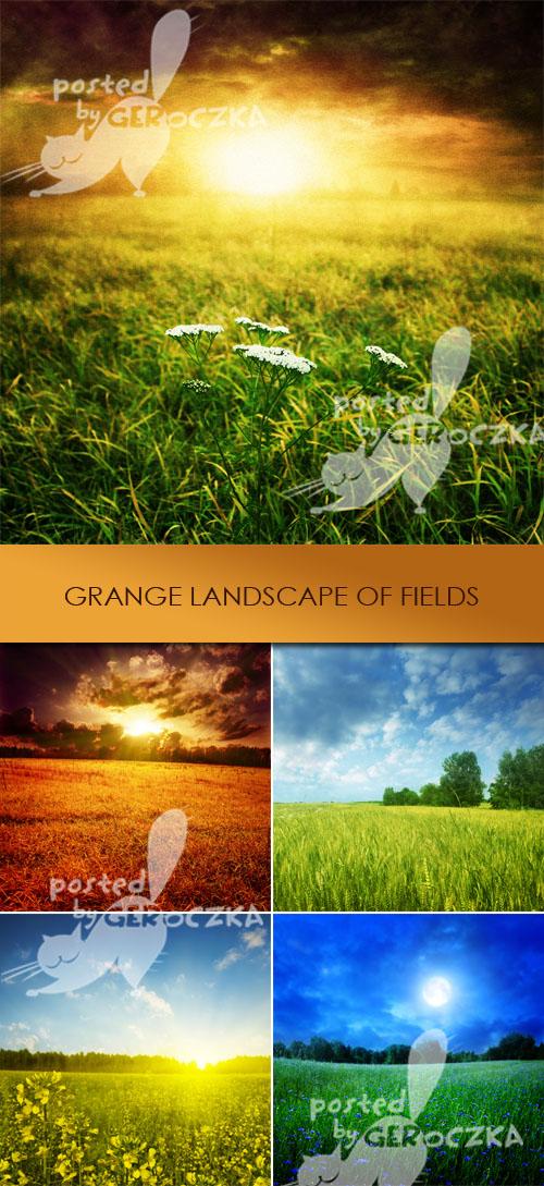 Grunge landscape of fields