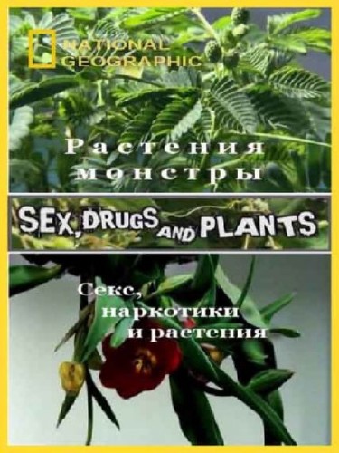 ,   ( - ) / Sex, Drugs and Plants (2012) HDTVRip 720p