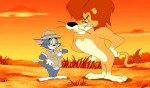   :   / Tom and Jerry: Around the World (2012/DVDRip)