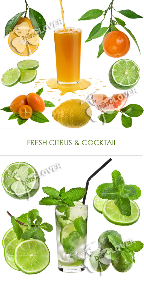 Fresh citrus and cocktail 0164