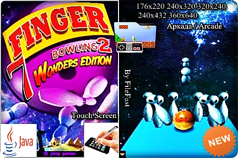 Finger Bowling 2 Wonder Edition /     2