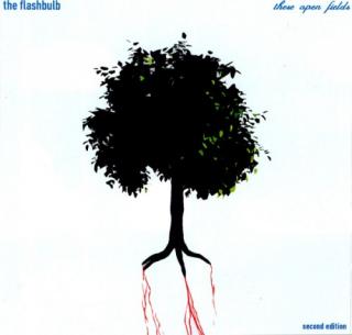 Benn Jordan  (The Flashbulb) - Discography (2000-2010) Lossless